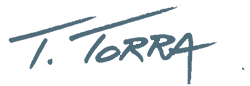 ttorra web design testimonial