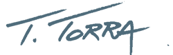 ttorra web design testimonial