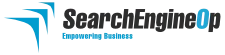 SearchEngineOp Web Design Guelph